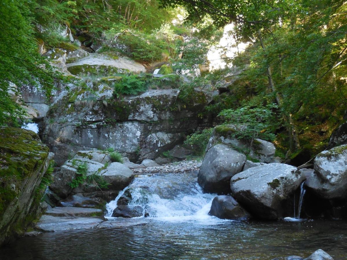 Auberge Du Tarnon Les Vanels Dış mekan fotoğraf